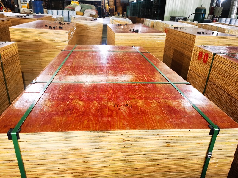 1708333905214096.jpg hongs (101).jpg