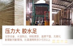 建筑模板一站式采購-弘獅模板更省心 建筑模板一站式采購-弘獅模板更省心